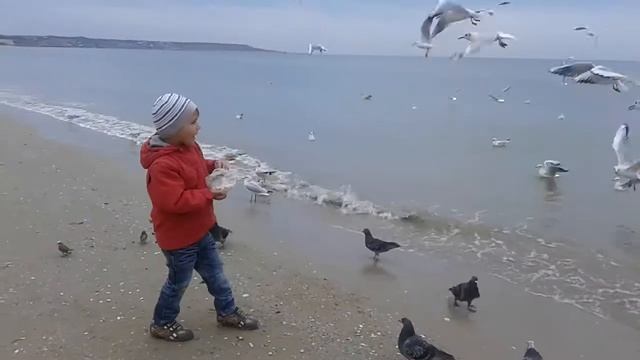 Одесса... Кормим чаек #Максюшенька смотреть онлайн