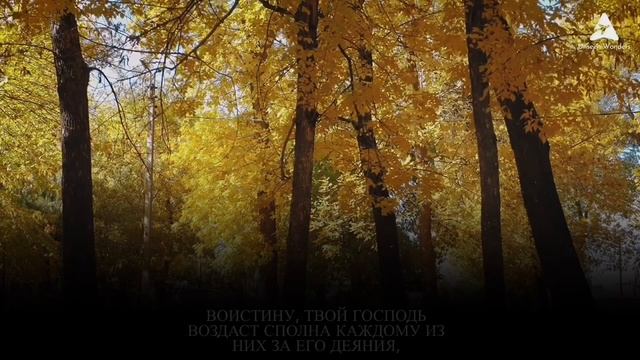 Ислам Субхи | Великое напоминание от Милостивого|Аяты из Суры «Худ» 100-123 смотреть онлайн