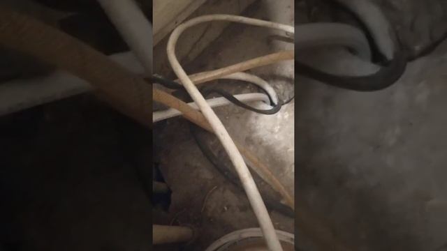 самодельный чудо аппарат для лексира молодости