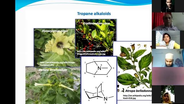 BTL 530: Bioactive Natural Products смотреть онлайн