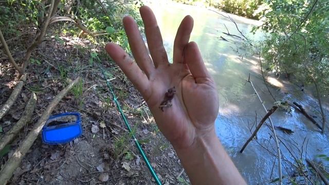 Рыбалка на Тереке! смотреть онлайн