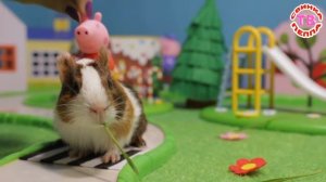 Мультики СВИНКА ПЕППА все серии подряд с Беллой
