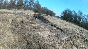 А ВЫ знали секрет лучшей засидки для охоты на утку! И ВСЕ БЕСПЛАТНО!!!