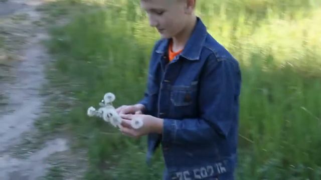 ✔ VLOG: Прогулка в парке и у Иртыша ✔ В гостях у Алисы и Егора смотреть онлайн