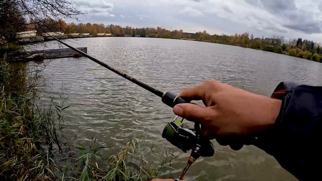 Мощная раздача поклевок на пруду