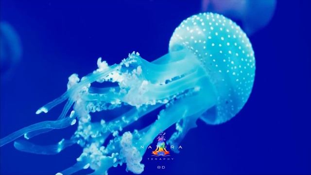 Improve Sleep and Concentration with Relaxing Sounds of the Ocean and Reduce Stress (4K) смотреть онлайн
