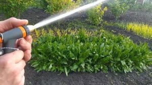 Обзор пистолетов для полива и режимы работы. Посмотри перед покупкой.