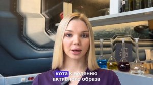 Почему у кошки вздутый живот? Опасные и неопасные причины