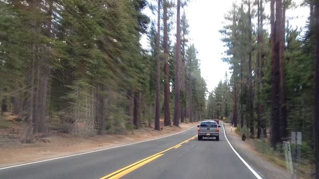 Калифорния 02