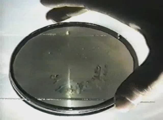 Физика. Опыты. Молекулярная физика. Модель идеального газа. Рост кристаллов гипосульфита смотреть онлайн