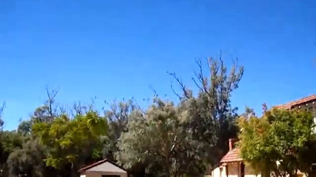 Kakadu Geschrei смотреть онлайн