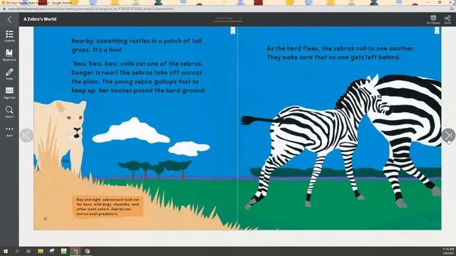 A Zebra's World by Caroline Arnold смотреть онлайн