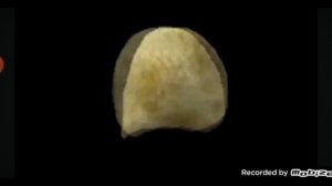 ой чебупели чебупели чебупели