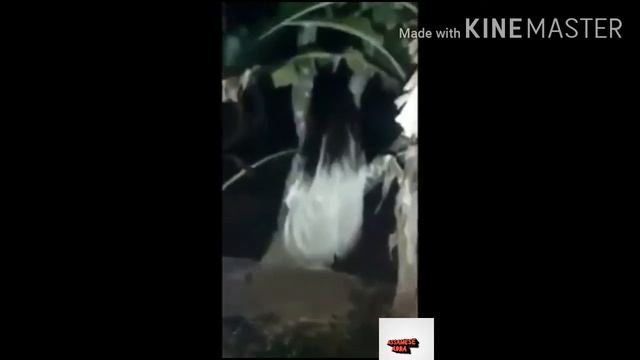 Real Scary Ghost Caught on camera смотреть онлайн