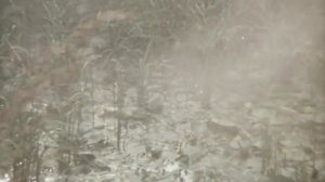 Гардемарины, вперёд 3 серия