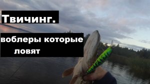 Твичинг. Воблеры которые ловят.
