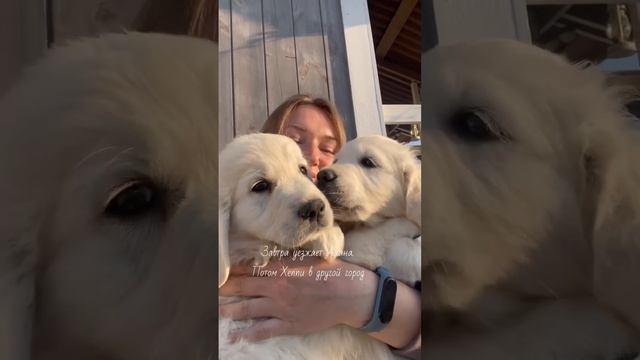 Счастье-то какое 🧡 смотреть онлайн