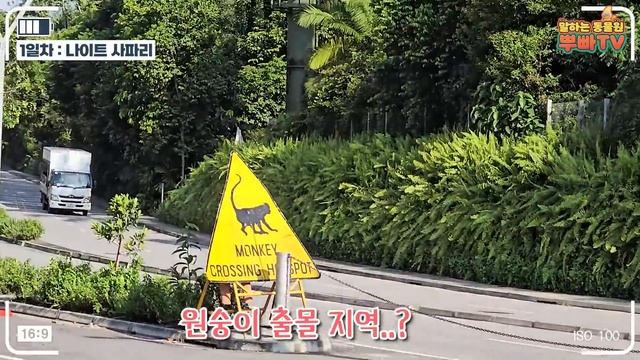 (SUB) 싱가포르에서 체감한 오바오의 인기?! 주키퍼스와 함께 하는 싱가포르 동물원 투어🍀│zookeeper’s vlog смотреть онлайн