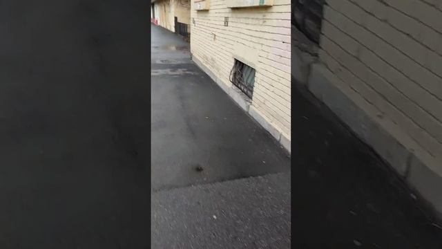 Техно-онлайн магазин Зайцева 13 смотреть онлайн