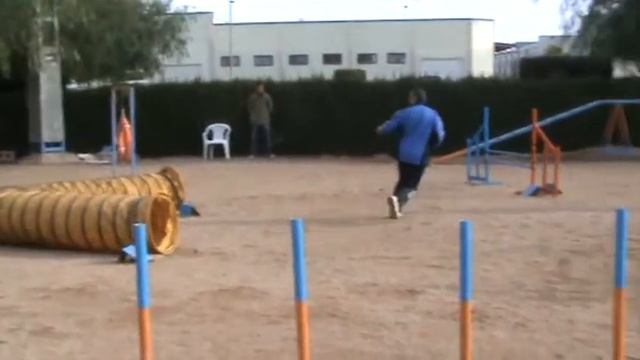SABBA AGILITY AGEEACV TORRENT смотреть онлайн
