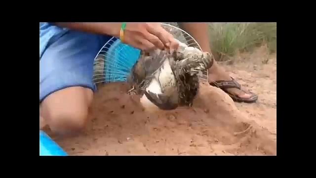 Fozil qori смотреть онлайн