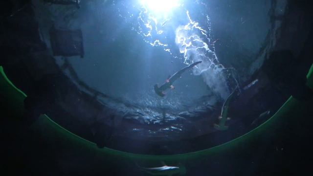 神無月の景 (四国水族館) 2021年8月4日 смотреть онлайн