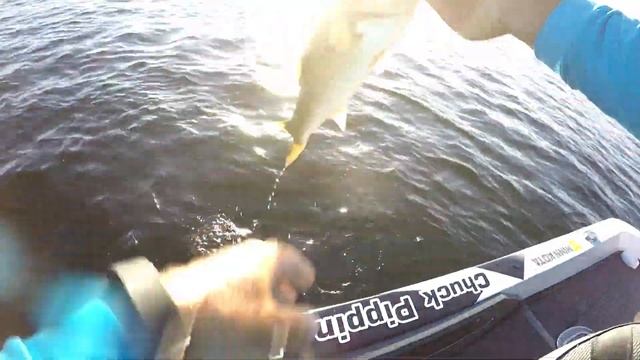 Bass Fishing an URBAN OASIS in Orlando, Florida смотреть онлайн