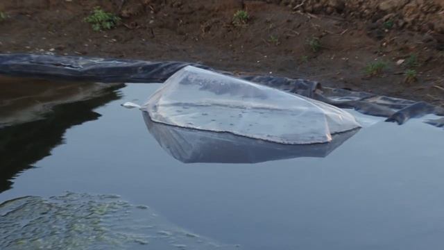 Fish смотреть онлайн