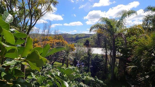 FIRST REAL DAY OF SUMMER! NZ DECK VIEW смотреть онлайн