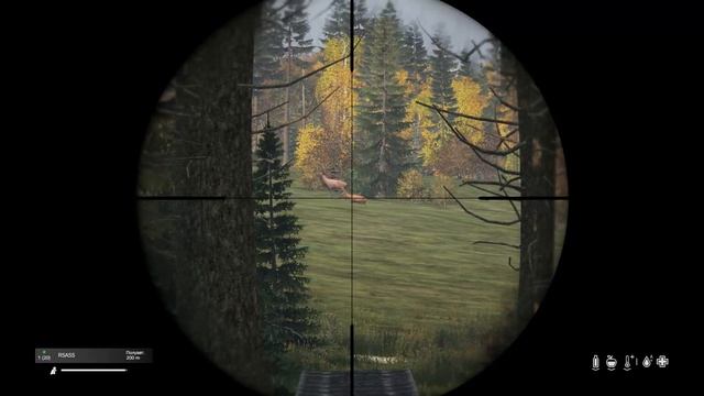 DayZ 2024 03 17 08 29 36 смотреть онлайн