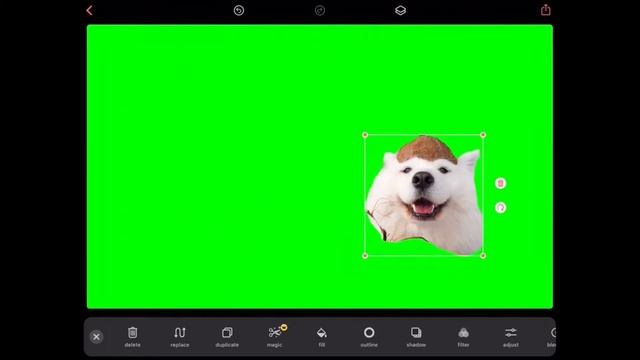 Coconut dog green screen! Make ur own! смотреть онлайн