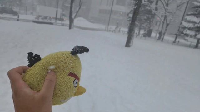 Yellow Bird Family Goes To HOKKAIDO 🇯🇵 смотреть онлайн