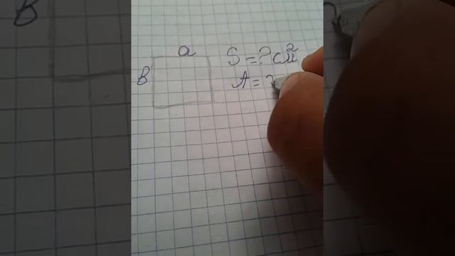 Шаршының ауданын табу смотреть онлайн