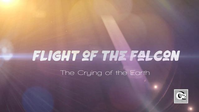 Flight Of The Falcon