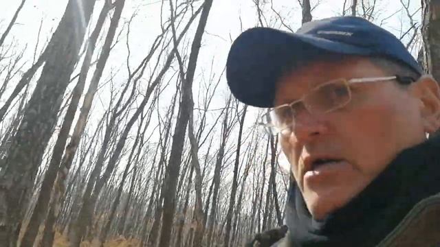 01.04.23.Березовый сок(свежий) с лесничества! Заказы по тел:+79241232444 Владимир Стороженко смотреть онлайн