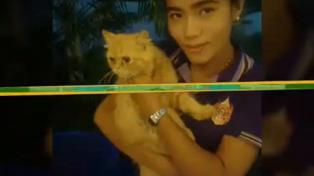 phutara resort смотреть онлайн