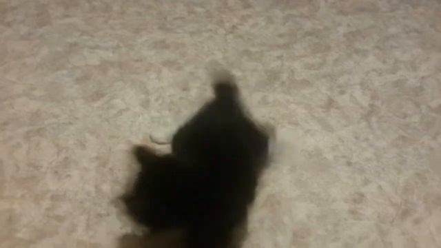 15 августа 2016 г.(1) смотреть онлайн