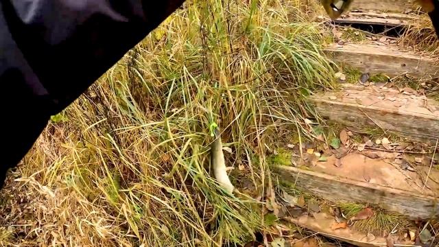 Удачное возвращение в Литвиново