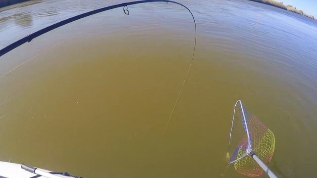 Лодочные приключения: жереховый акцент