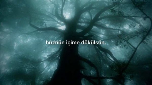 Grouper - poison tree (turkish lyrics)