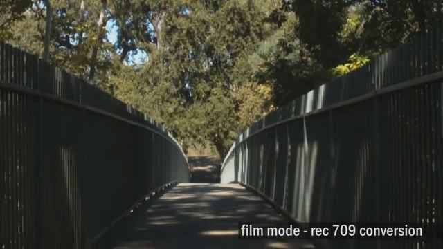 Ревю - Black Magic Pocket Cinema смотреть онлайн