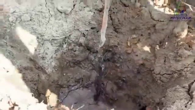Бірігіп тал егейік смотреть онлайн