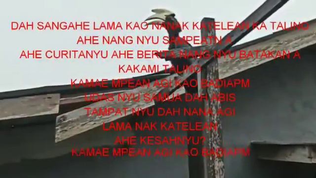 BURUNG ENGGANG MASKOT KALIMANTAN TIBA2 MUNCUL DI TENGAH KOTA PONTIANAK смотреть онлайн