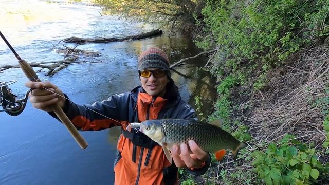 Первый голавлевый блин комом