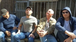 ответ от голубеводов Азии гагику акопяну