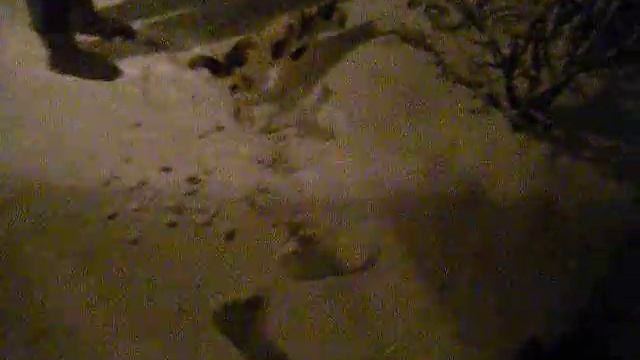 tara's first snow day! смотреть онлайн