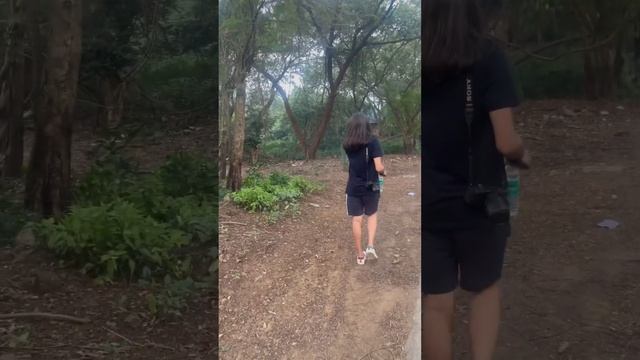 I saw a Sambar Deer walking in this forest #shorts #wildlife смотреть онлайн
