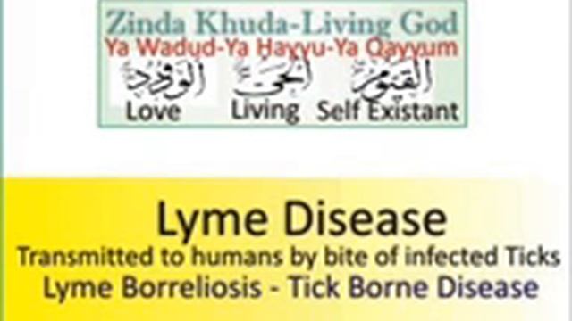 Lyme Disease смотреть онлайн