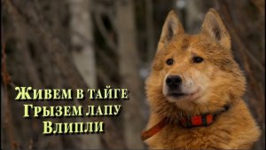 Живем в Тайге. Грызем лапу медведя.
Замерзаем во льдах.