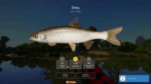 ВЬЮНОК | УКЛЕЙКА | ЕЛЕЦ |Русская Рыбалка 4(РР4)